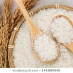 「大嘗祭」で使う米を収穫する