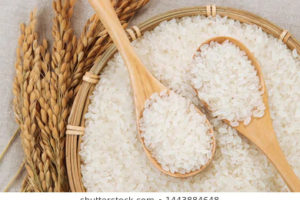 「大嘗祭」で使う米を収穫する
